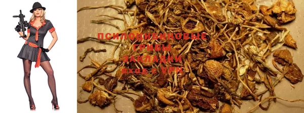 spice Алексин