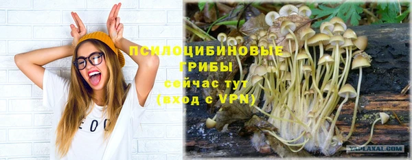 скорость mdpv Алексеевка