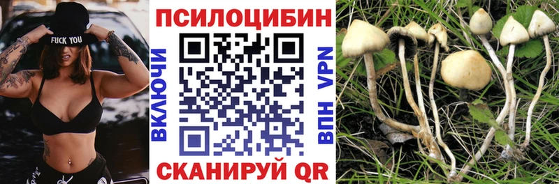blacksprut как зайти  Спасск-Рязанский  Псилоцибиновые грибы Cubensis 